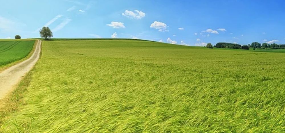  - 352322cff7fd1061fe5ffabd1e879cbe.jpeg