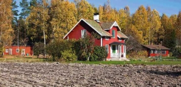  - tn1_0_09350800_1541010212_5bd9f32417323.jpg