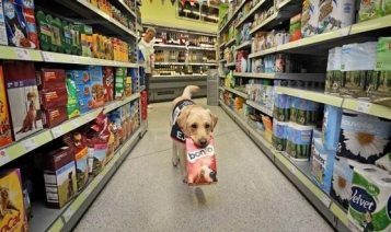  - tn1_0_13679100_1466632807_576b0a67216a3.jpg