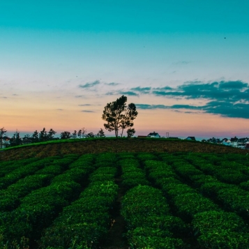  - tn1_0_21470300_1582791949_5e577d0d34713.jpg