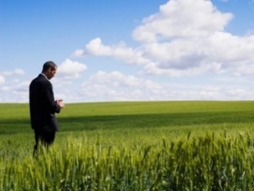  - tn1_0_31666500_1480024497_583761b14d5bd.jpg