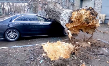  - tn1_0_65064000_1539256818_5bbf31f29edf0.jpg