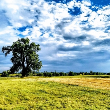  - tn1_0_68692100_1575463216_5de7a930a7b9c.jpg