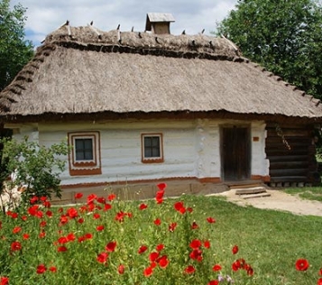  - tn1_0_83425100_1477739879_58148567cbb4b.jpg