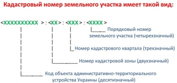  - tn1_0_97771100_1537169521_5b9f5871eeb8a.jpg