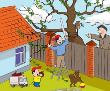  - tn1_45508bdab74625c53c1d637d3f979dc3_619de1d6af1b9.jpg