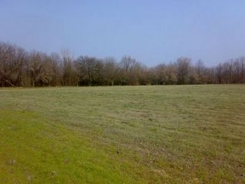 Приватизація земельної ділянки з цільовим призначенням для ведення ОСГ, яка розташована за межами населеного пункту  - tn1_privatizatsiya_zemelnoi_dilyanki_z_tsilovim_priznachennyam_dlya_vedennya_osg_yaka_roztashovana_za_megami_naselenogo_punktu_5511858cd3cd0.jpg