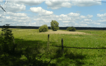  - tn1_problemi_shcho_vinikayut_pri_oformlenni_spadshchini_na_zemelnu_dilyanku_5ec51b7847389.png