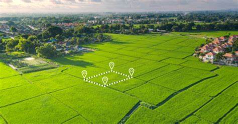 Продаж земельного паю: коли оподатковується ПДФО, а коли – ні? - 2b7cbbea5a0e71d5349bed0eb3293ab3.jpg