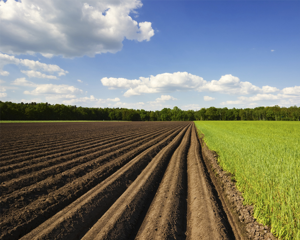 ВС про пролонгацію оренди паю під час воєнного стану - справа № 563/376/22-ц - e58154cf7675c65d4043be6e0edf0beb.jpg