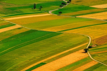 Как продать занятый пай. Фермеров заставят уйти с земли через суд - tn1_0_15206200_1574165457_5dd3dbd12525f.jpeg