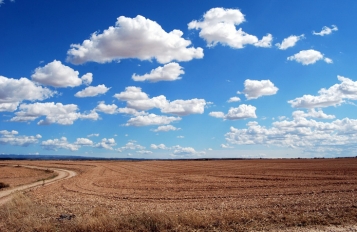 Продажа прав на землю через аукционы повышает ее цену на 80% - Нефьодов - tn1_0_16990200_1530881587_5b3f66332982f.jpg