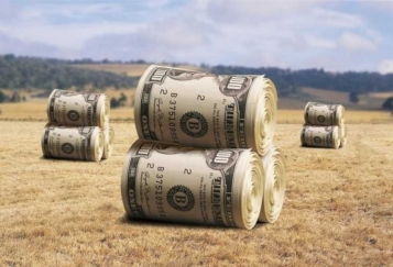 Стало відомо, які правки внесуть до законопроекту про ринок землі до другого читання - tn1_0_35954400_1574666386_5ddb809257cc7.jpg