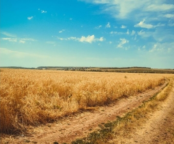 Нові правила оренди землі: що зміниться з 15 липня 2020 року? - tn1_0_38324900_1593107017_5ef4e2495d970.jpg