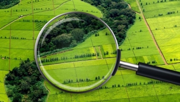 Половину державної землі розікрали, її повертатимуть правоохоронці, – Милованов - tn1_0_88046600_1572613068_5dbc2bccd6fc3.jpg