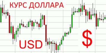 Назван курс доллара на 2020 год, по которому рассчитан бюджет - tn1_0_92708400_1568706972_5d80919ce25d4.gif