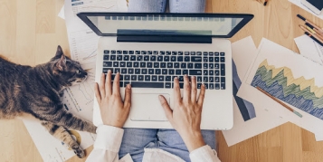 Нардепы выписали новые правила для удаленной и надомной работы. В чем разница - tn1_3cc49e40096018cb1f2259577a5ba25d_5f5f724ee5f02.jpg