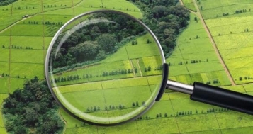 Чоловік за підробленим паспортом став держреєстратором і переоформив 498 ділянок - tn1_755df46bc9fadb7e1a41b4856c92fc26_5f5b3d8b3ba67.jpg