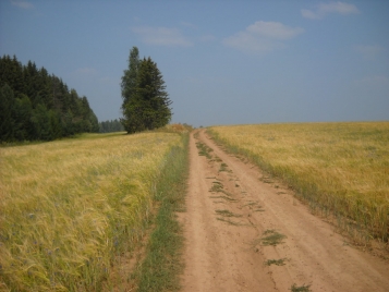 Що варто знати орендарю сільськогосподарських земель, аби не позбутися врожаю - tn1_shcho_varto_znati_orendaryu_silskogospodarskih_zemel_abi_ne_pozbutisya_vrogayu_5cee3515bd568.jpg