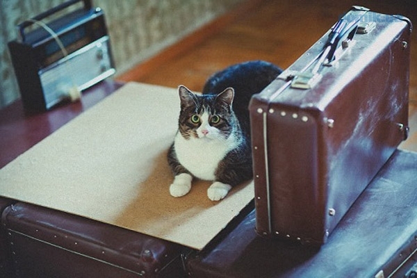 - 0_01824300_1610368454_5ffc45c607184.jpg