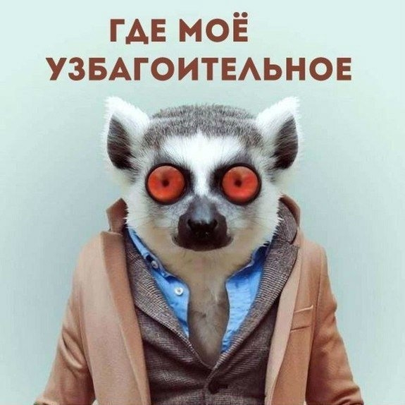 - 0_02749500_1608735025_5fe3593106bb7.jpg