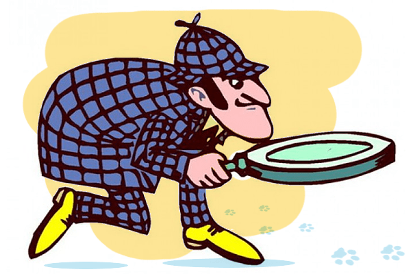 - 0_10835400_1626875340_60f825cc1a79e.png