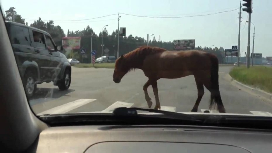 - 0_23252200_1600433852_5f64aebc38ca9.jpg