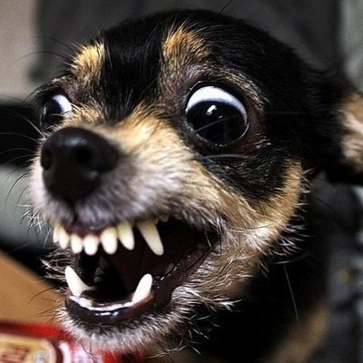 - 0_27353600_1554463175_5ca739c742cd9.jpg