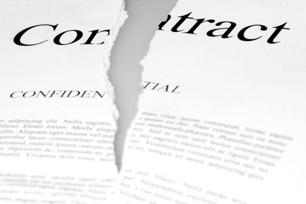 - 0_83479100_1547707729_5c402551cbd44.jpg