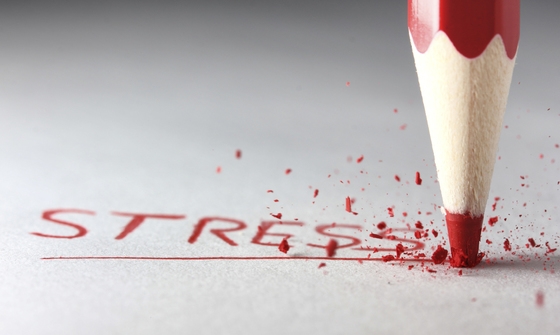 - 0_85906900_1550057410_5c63ffc2d1c1a.jpg