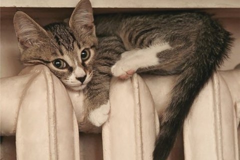 - 0_89379600_1613460203_602b72ebda3bd.jpeg