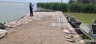 Як визначити розмір збитків від незаконного вилову риби (ККС ВС справа № 617/521/21 від 27 серпня 2025 року)