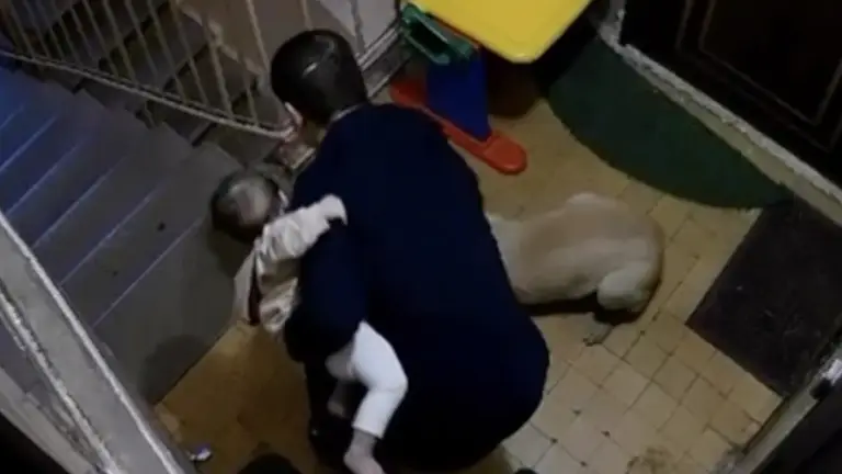 - 473148d6ea4b2cedfefaf8427c0d80e0.webp