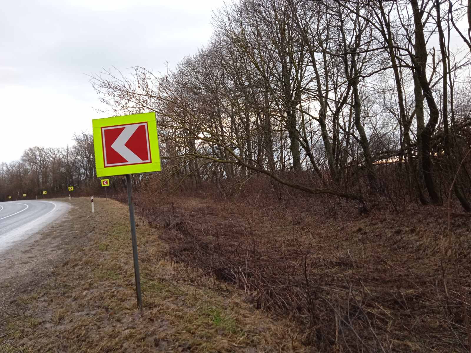 Хто є цивільним позивачем у кримінальних справах за фактом незаконних рубок в захисних лісосмугах автомобільних доріг ? (ККС ВС  у справі № 683/1012/23 від 23 січня 2025 р.)