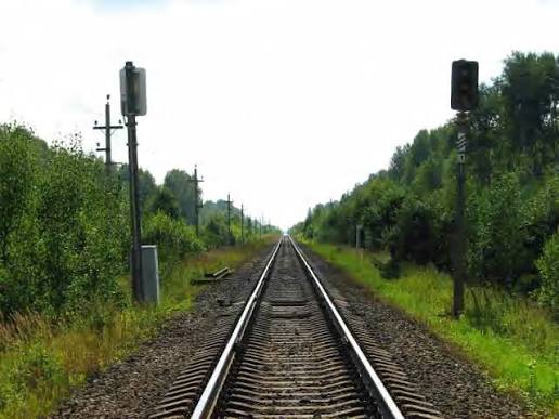 АТ “Укрзалізниця” повинна відповідати за незаконні рубки в захисних лісонасадженнях вздовж залізничних колій (Західний апеляційний господарський суд у справі № 914/2688/24 від 16 червня 2025 року)