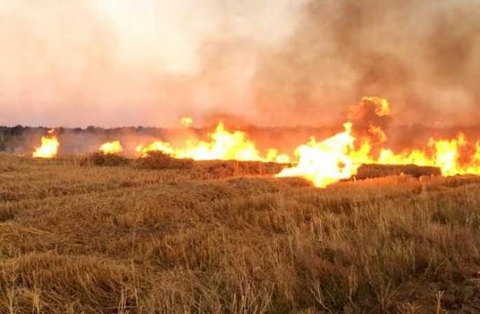 Паління стерні на полі привело чоловіка на лаву підсудних (Болгарський районний суд Одеської області по справі №497/2139/24 від 22.04.2025 р.)