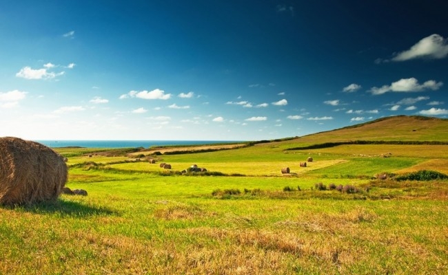 - perevagne_pravo_orendarya_dlya_ponovlennya_dogovoru_orendi_zemli_5788d035bed17.jpg