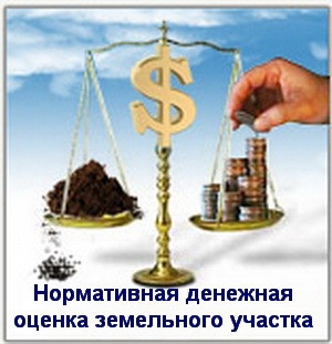 Розмір орендної плати регулюється виключно договором оренди землі, тому ЛИШЕ зміна індексації нормативної грошової оцінки ділянки не створює додаткових податкових зобов’язань для орендаря (ВС/КАС, №813/3819/17, від 20 червня 2018 р.) - rozmir_orendnoi_plati_regulyuetsya_viklyuchno_dogovorom_orendi_zemli_tomu_lishe_zmina_indeksatsii_normativnoi_5b67555d24bcd.jpg