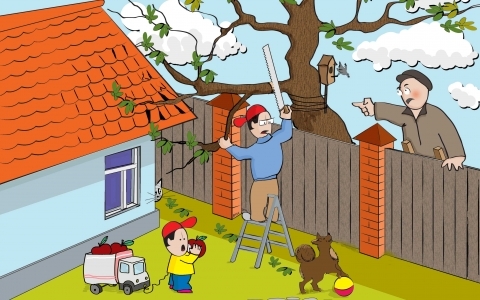 - visadguvati_dereva_ta_kushchi_bilya_megi_chi_pryamo_na_megi_mig_privatnimi_zemelnimi_dilyankami_zakonodavstvo_ne_zaboronyae_578d5129e322e.jpg