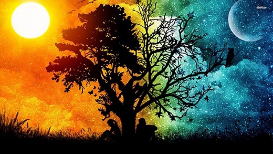  - 0_01083900_1576957458_5dfe761202aae.jpg