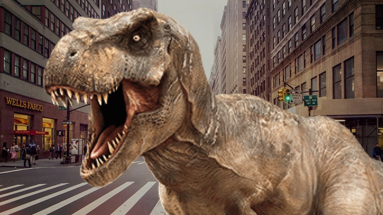  - 0_14264300_1529310396_5b276cbc22e85.jpg