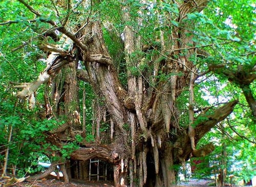  - 0_27808700_1579091792_5e1f075043e92.jpg