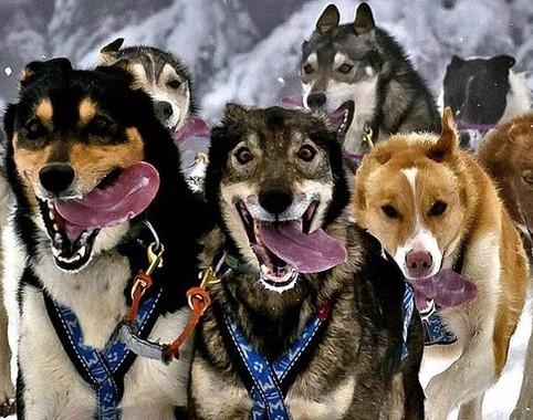  - 0_27833700_1479581061_58309d8543fd0.jpg