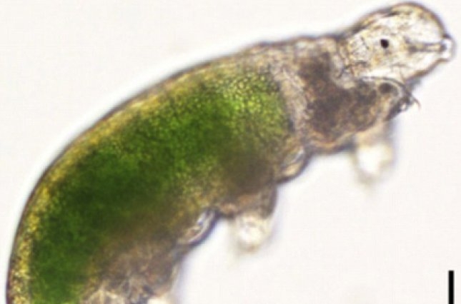  - 0_28166300_1565105009_5d499b7144c9b.jpg