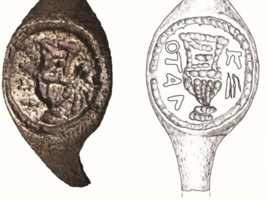  - 0_34291500_1543700120_5c02fe9853bf0.jpg