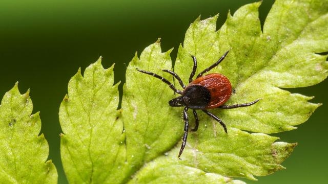  - 0_42259500_1589619567_5ebfab6f67322.jpg