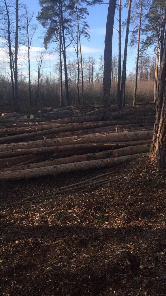  - 0_88699200_1526930886_5b031dc6d8e27.jpg