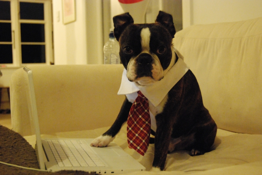  - 0_89749800_1477517849_58112219db283.jpg