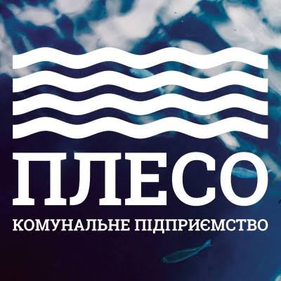Чим плесо відрізняється від озера, а затон від затоки