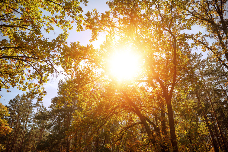  - e5f69b48eee3b3553e96a2a9a5651eb4.jpg